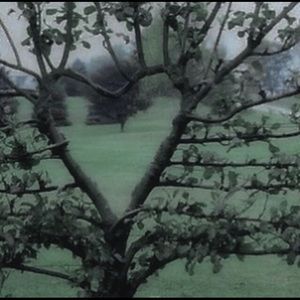 Meet your Posher, Thea